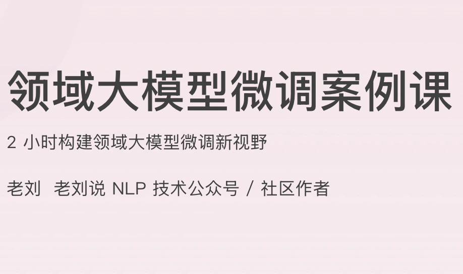 领域大模型微调案例课