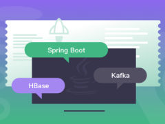 Java分布式后台开发 Spring Boot+Kafka+HBase